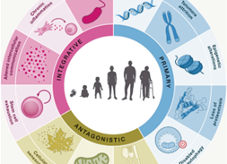 ライフスパンとヘルススパンの関係