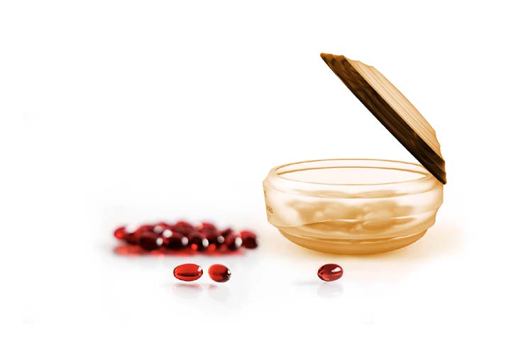 スキンケアと「クリルオイル」 ～細胞レベルのインナービューティー～