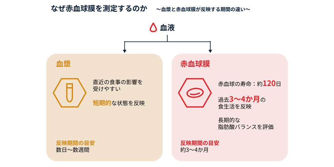 red-cell-membrane-why-measure