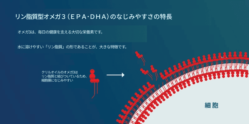 Graf-Exact-Omega-3-form-our-cells-need.png