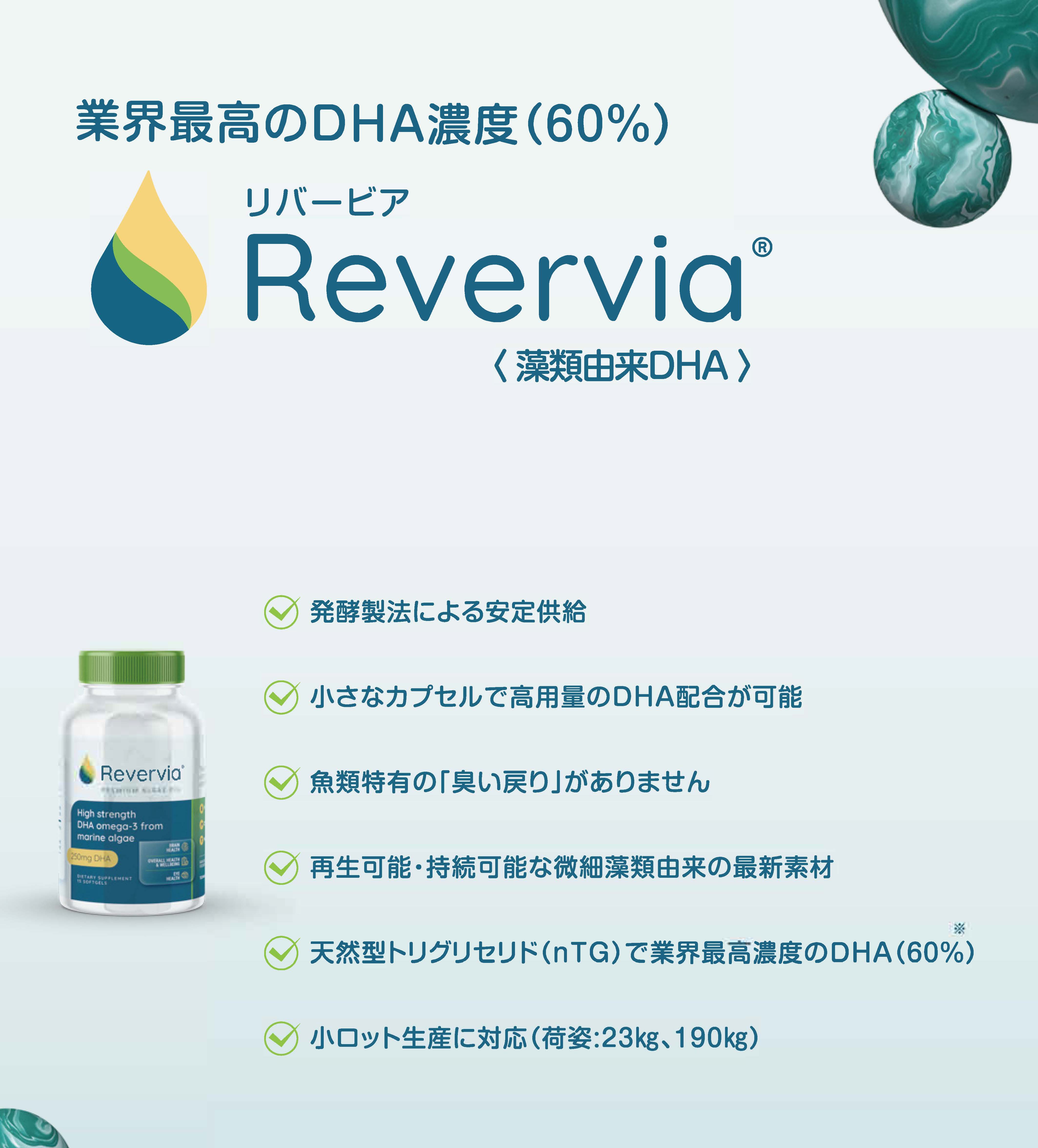 Reverviaパンフレット表紙