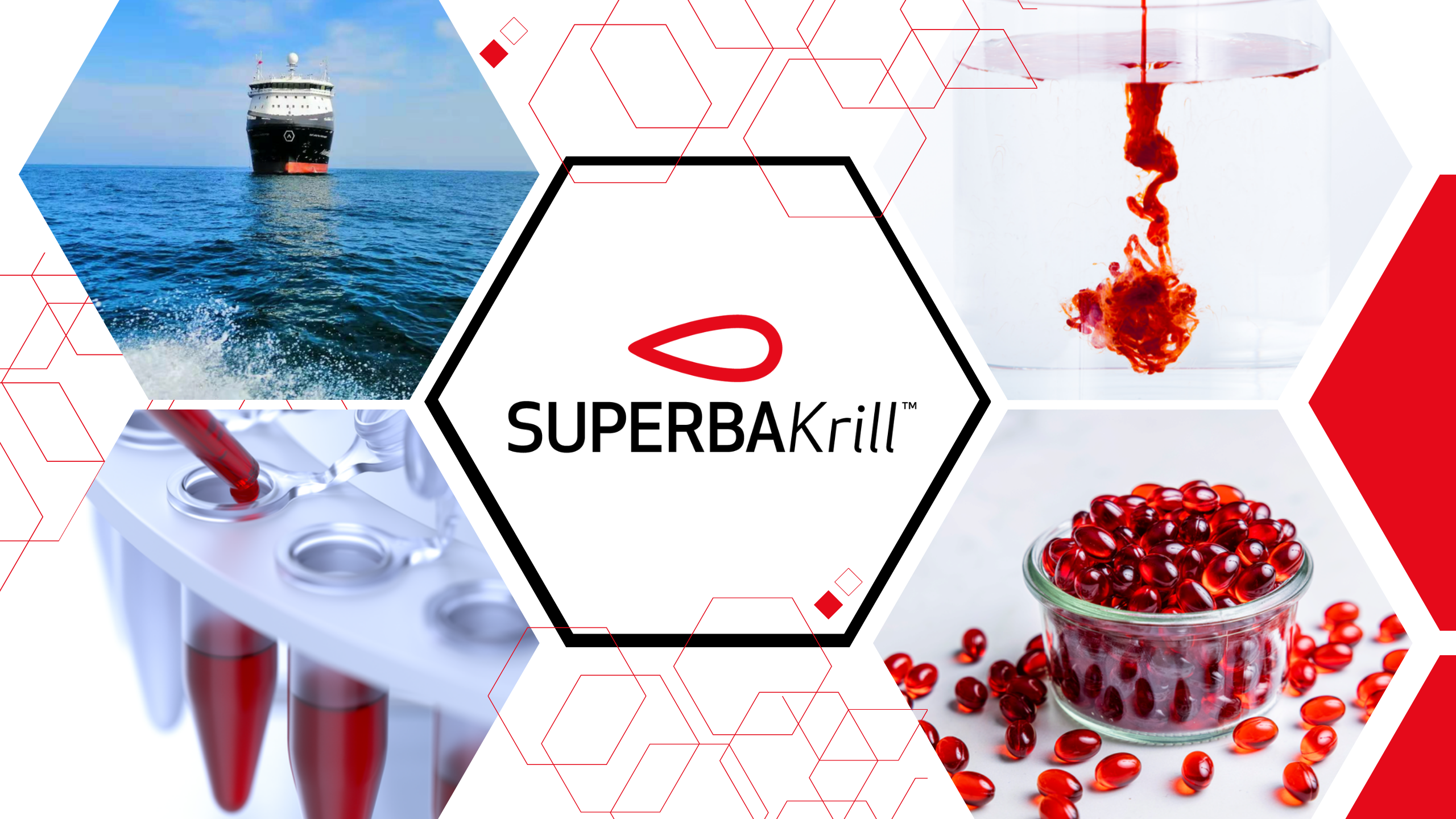 Superba Krill